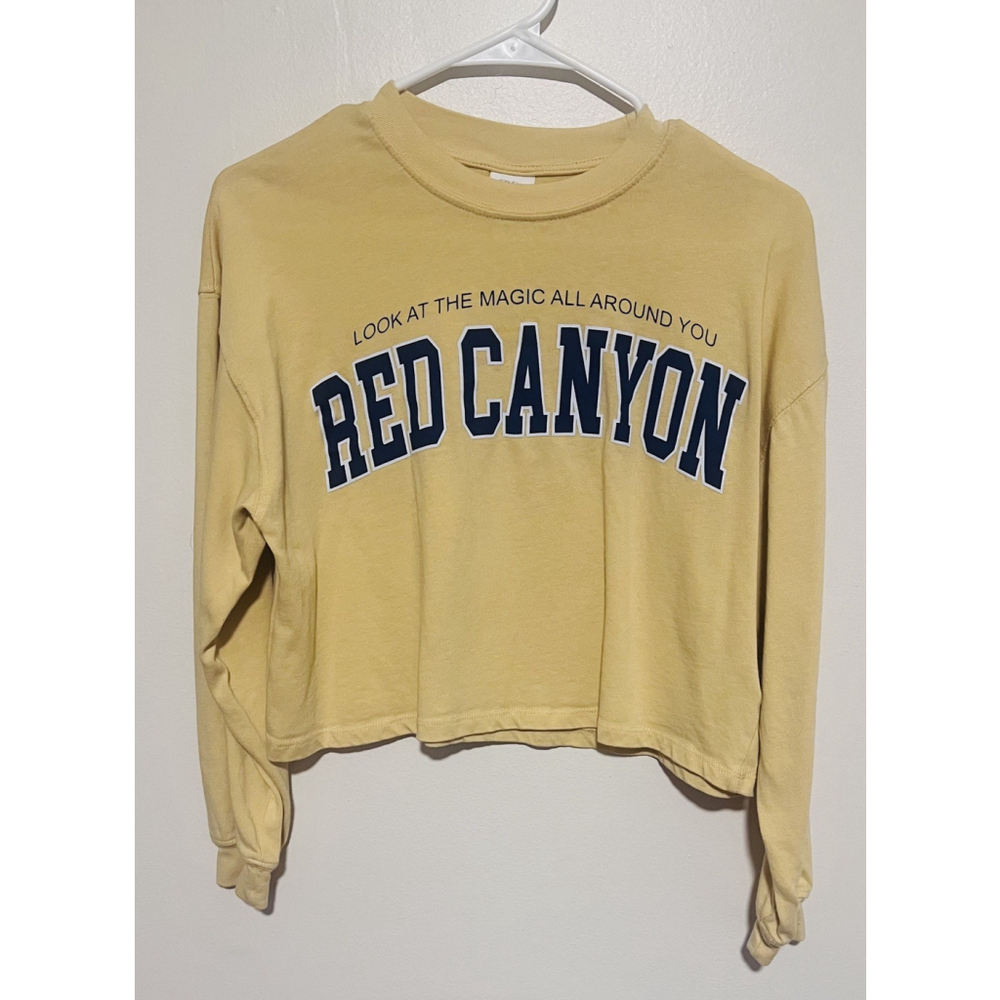 Zara Crop Tee Size 13 /14 Yellow Red Canyon Graphic T -Shirt